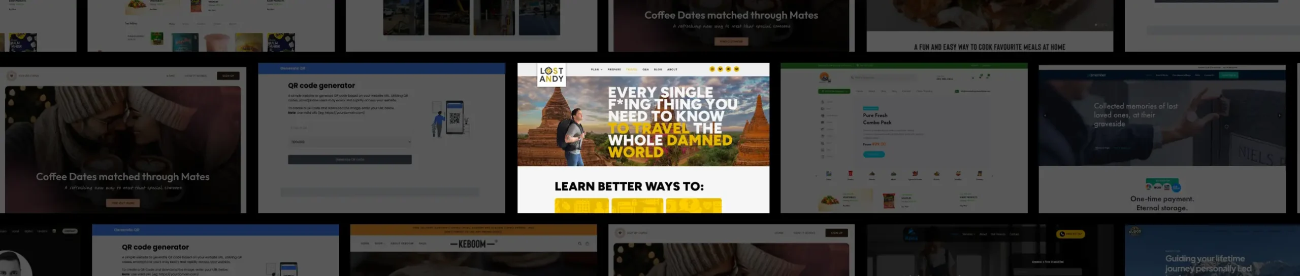 A grid of website thumbnails with one highlighted featuring a woman in a desert. The bold text reads: Every single thing you need to know to have the whole damned world